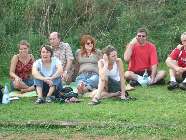 diefanswerdenwild.jpg